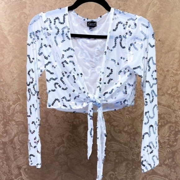 Sequin Tie-Front Sheer Creme Crop Top - Picture 9 of 12